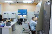 Об отделе клеточных биотехнологий